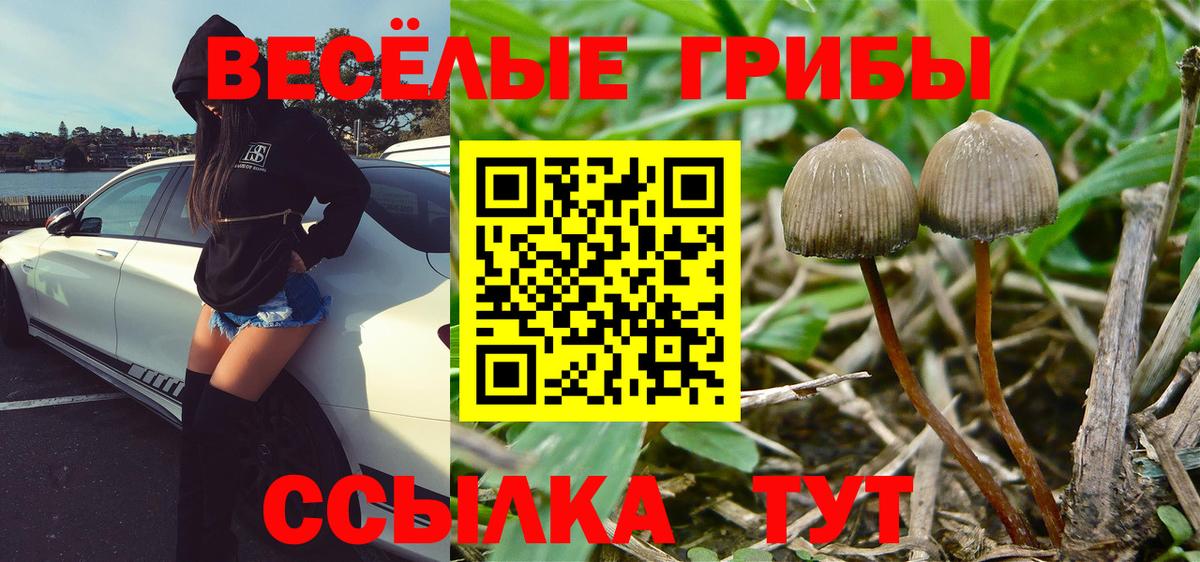 Галлюциногенные грибы Magic Shrooms  Вход с VPN  Изобильный  Галлюциногенные грибы прущие грибы 